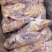 新鲜乳鸽肉冰鲜鸽保温加冰全国冷链发货产地发
