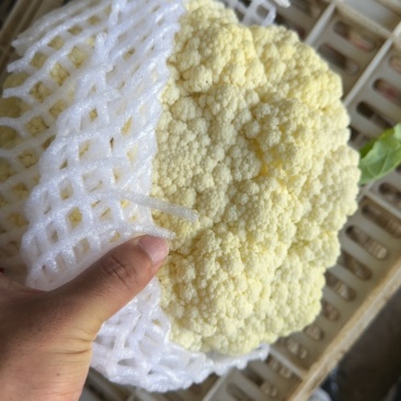 花菜