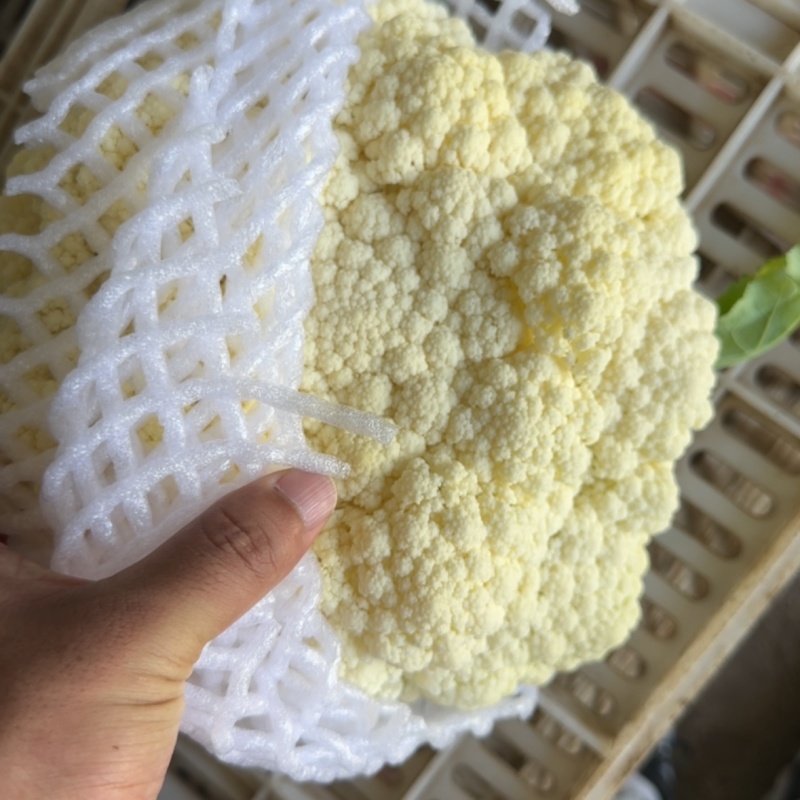 花菜