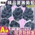 产地直供河北石家庄京亚葡萄对接电商下线批发市场诚信代办
