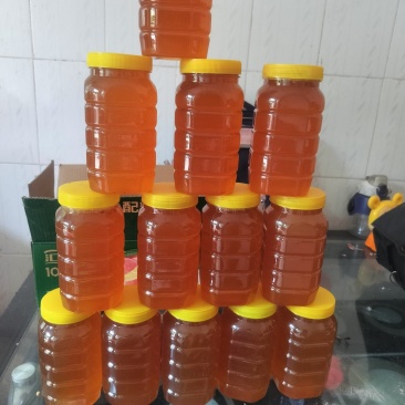 需要野生蜂蜜的可以联系***********