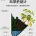 森林盒子新款智能植物墙室内外园林通用型全自动灌溉滴灌套装