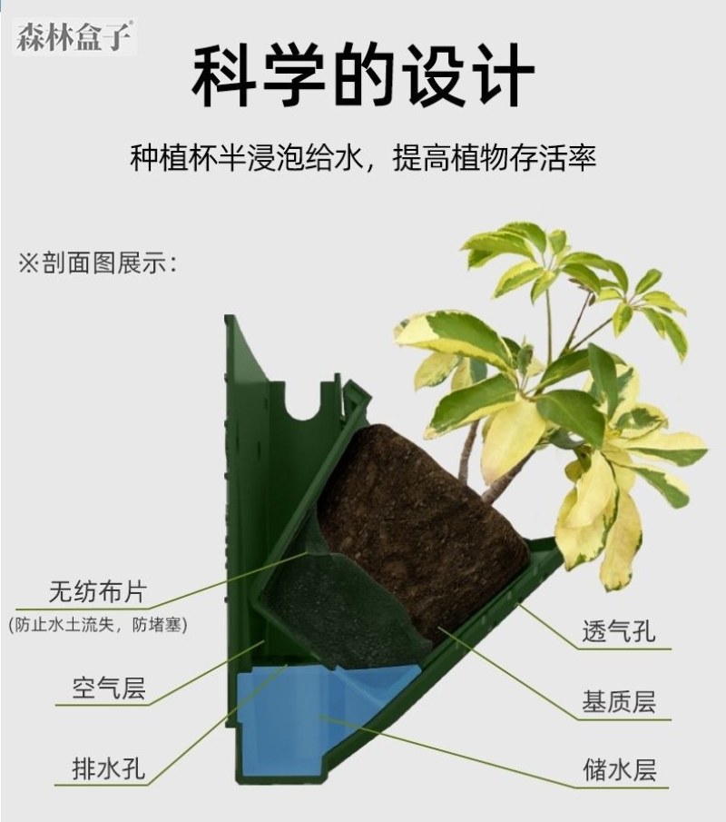 森林盒子新款智能植物墙室内外园林通用型全自动灌溉滴灌套装