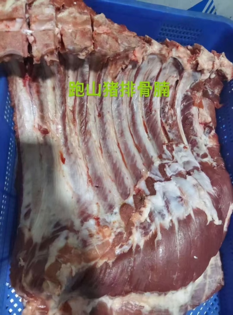跑山猪二代腩排（一刀切）大量有货量大从优保质保量