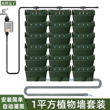 森林盒子多功能简约悬挂自动灌溉植物墙花盆套装绿色家庭阳台