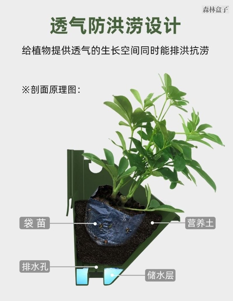 森林盒子多功能简约悬挂自动灌溉植物墙花盆套装绿色家庭阳台