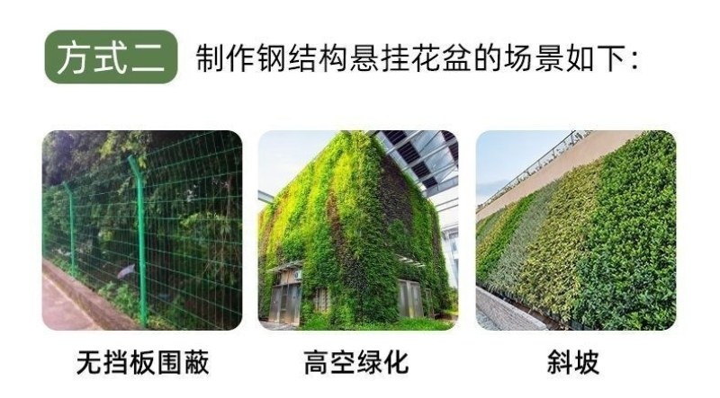 森林盒子多功能简约悬挂自动灌溉植物墙花盆套装绿色家庭阳台