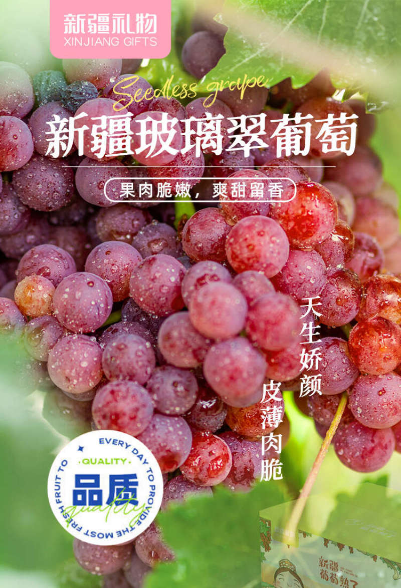 新疆吐鲁番三色葡萄一件代发电商微商**