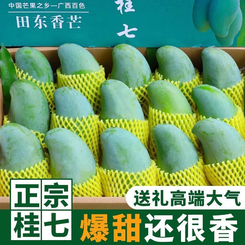 【广西桂七芒果】广西桂七芒香芒果青芒当季新鲜水果整箱批发包邮