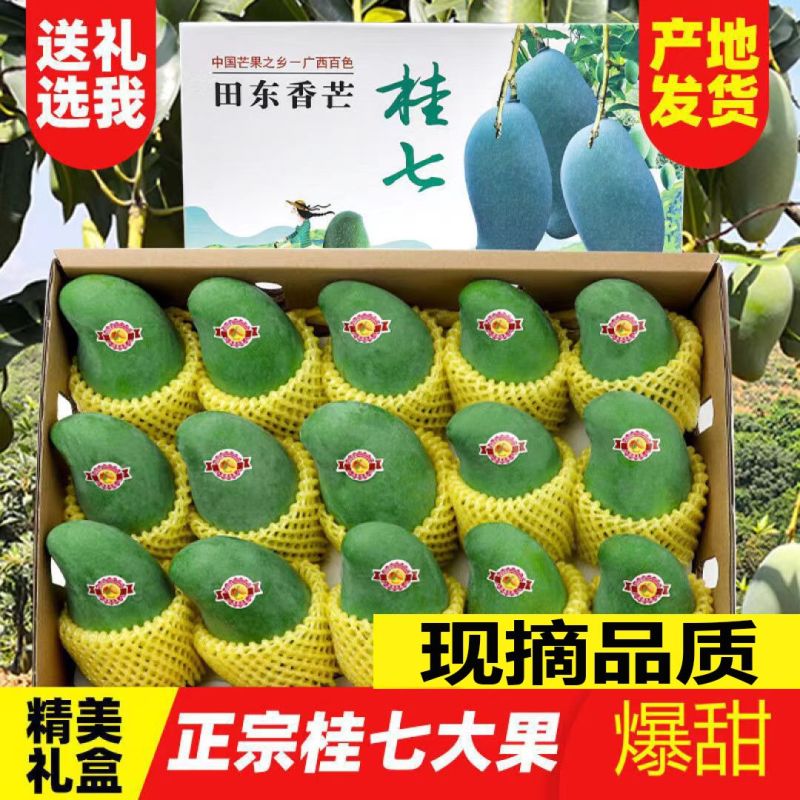 【广西桂七芒果】广西桂七芒香芒果青芒当季新鲜水果整箱批发包邮