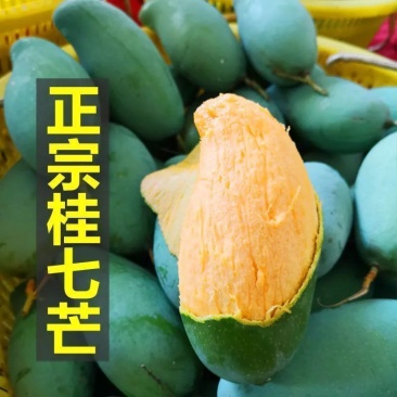 【广西桂七芒果】广西桂七芒香芒果青芒当季新鲜水果整箱批发包邮