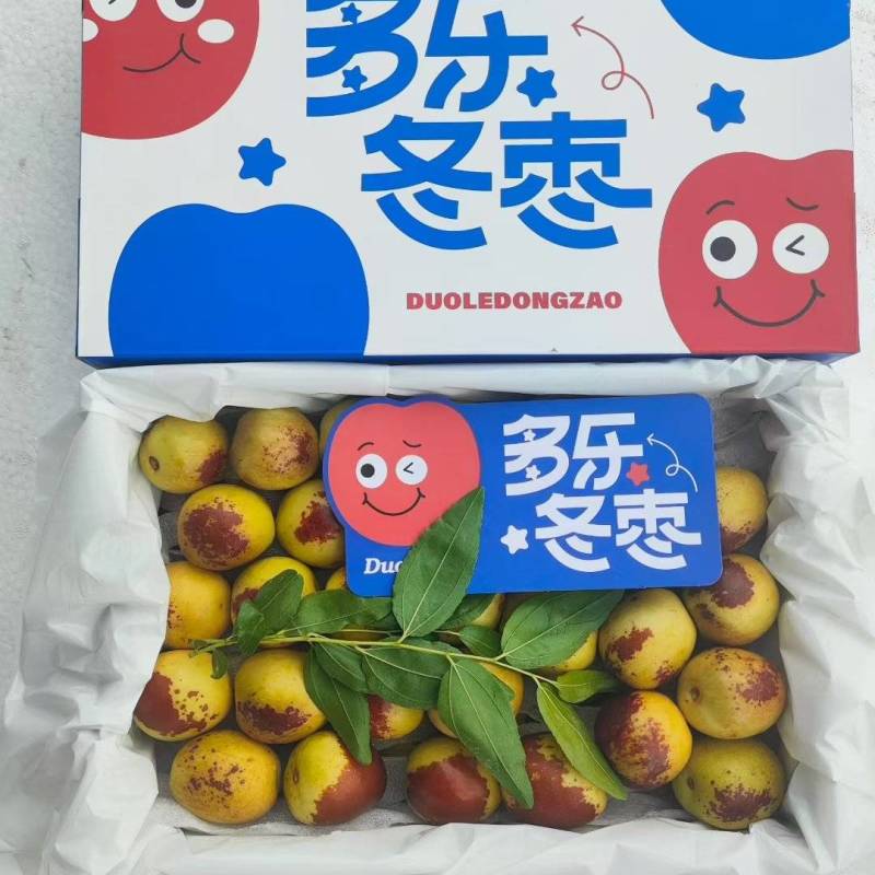 陕西大荔冬枣，对接所有渠道，包质量包售后