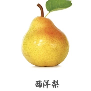 西洋梨，意大利，法國品种