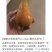 西洋梨，意大利，法國品种