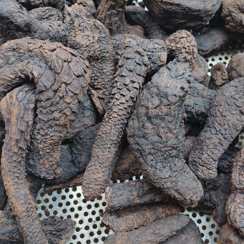 肉苁蓉疙瘩货3-6公分直径，质量保证，当天下单当天发货。