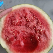 黑皮无子西瓜熟了，毛毛钱