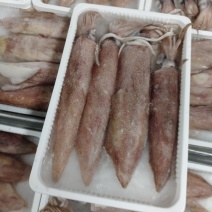 精品钓鱿