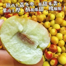 陕西大荔冬枣