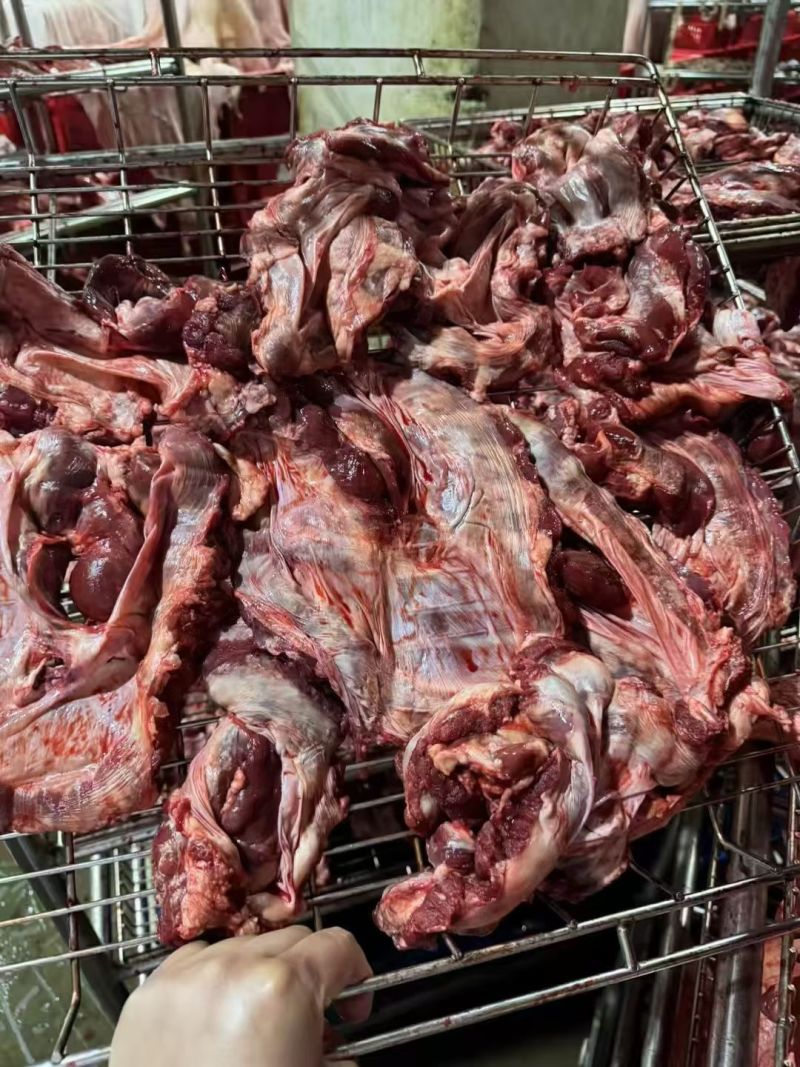 护心肉，品质保证工厂直发价格优惠。