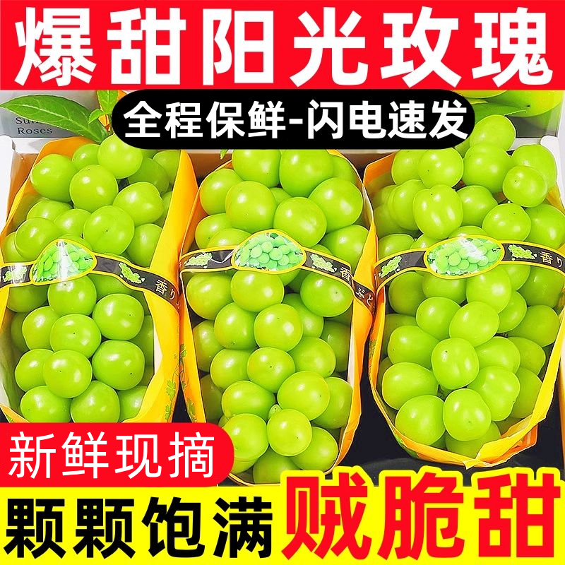 正宗阳光玫瑰四川晴王葡萄整串青提无籽应季提子新鲜水果整箱批发