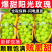 正宗阳光玫瑰四川晴王葡萄整串青提无籽应季提子新鲜水果整箱批发
