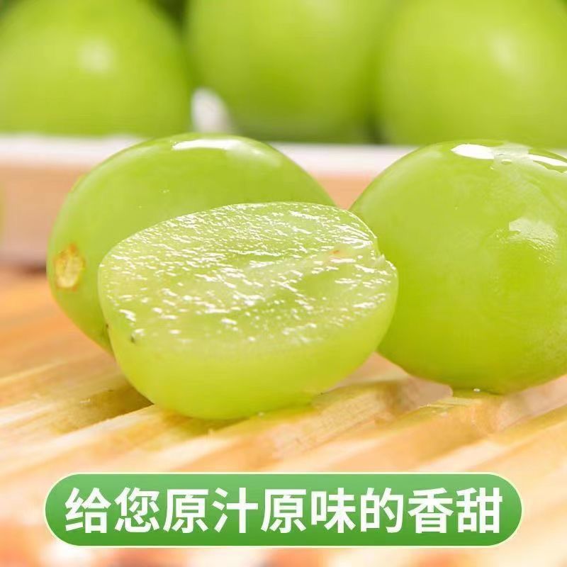 正宗阳光玫瑰四川晴王葡萄整串青提无籽应季提子新鲜水果整箱批发