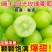 正宗阳光玫瑰四川晴王葡萄整串青提无籽应季提子新鲜水果整箱批发