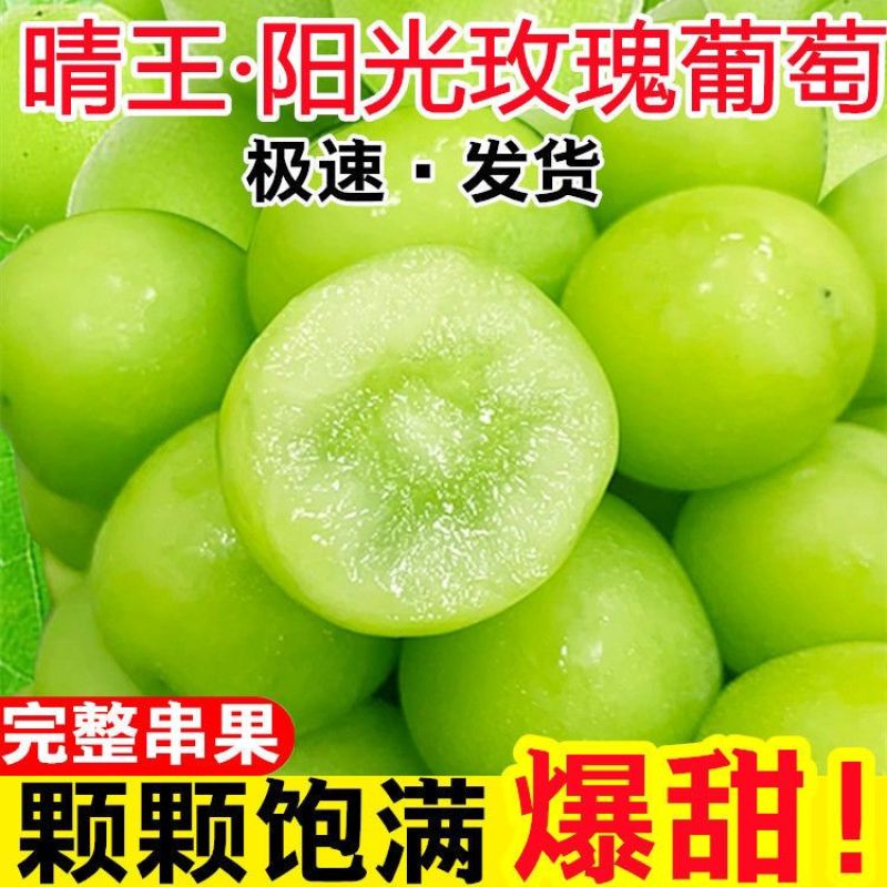 正宗阳光玫瑰四川晴王葡萄整串青提无籽应季提子新鲜水果整箱批发