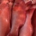 东星斑，婚宴，酒店，电商，农贸市场，活鱼放血，零担车发货