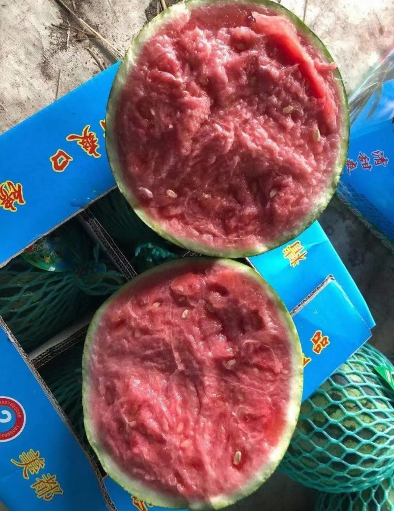 西瓜美都西瓜大量上市，皮薄瓜红味甜，对接市场