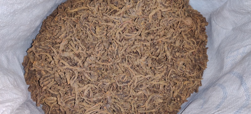 【道地药材认证黄连】自有种植基地质量保证