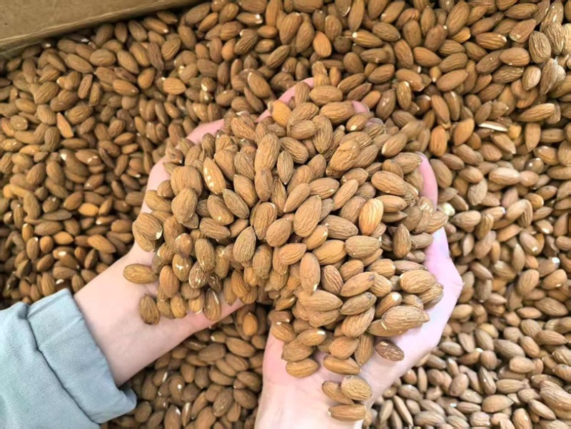 厂家直销源头工厂当季新货破头巴旦木仁23-25