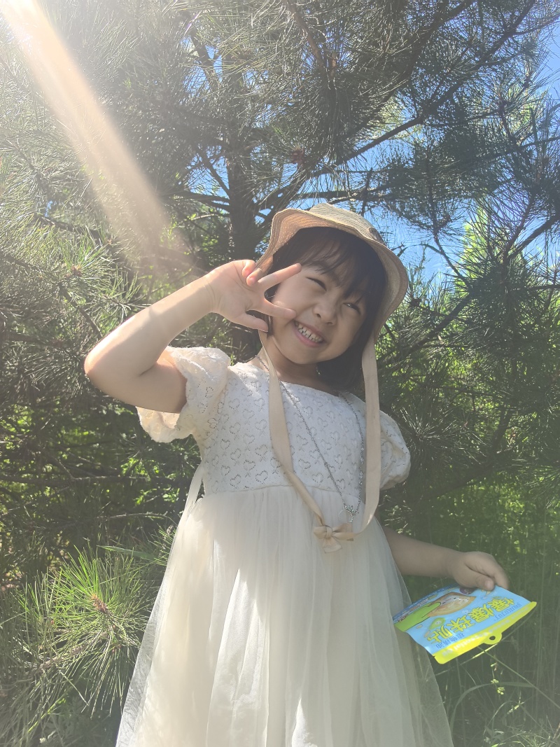 河北丰宁油松清地给钱就出有证装车打包经验丰富