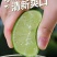 精品塔希提无籽柠檬，产地直发价格实惠