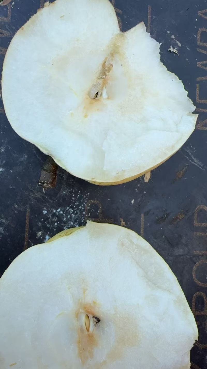 脆冠梨大量上市了，口感细嫩化渣，甜度巴适