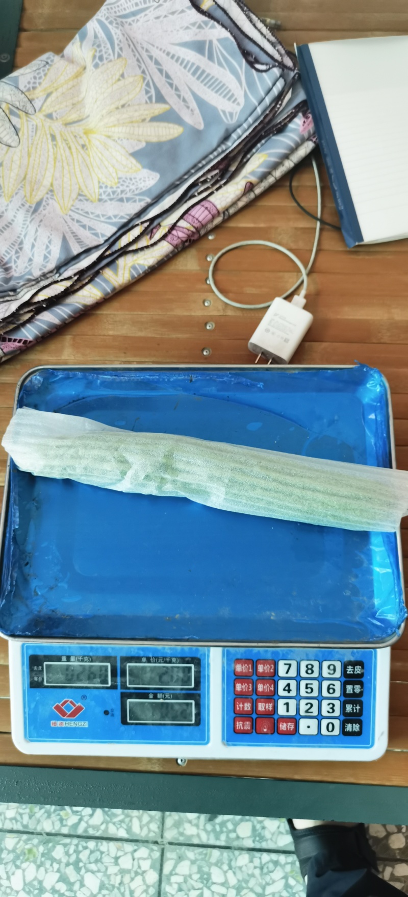 陕西西安油绿苦瓜，露天头茬新鲜上市油绿苦瓜大量上市