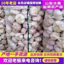 山东精品大蒜，紫皮，白皮蒜，出口贸易，一件代发，接单中