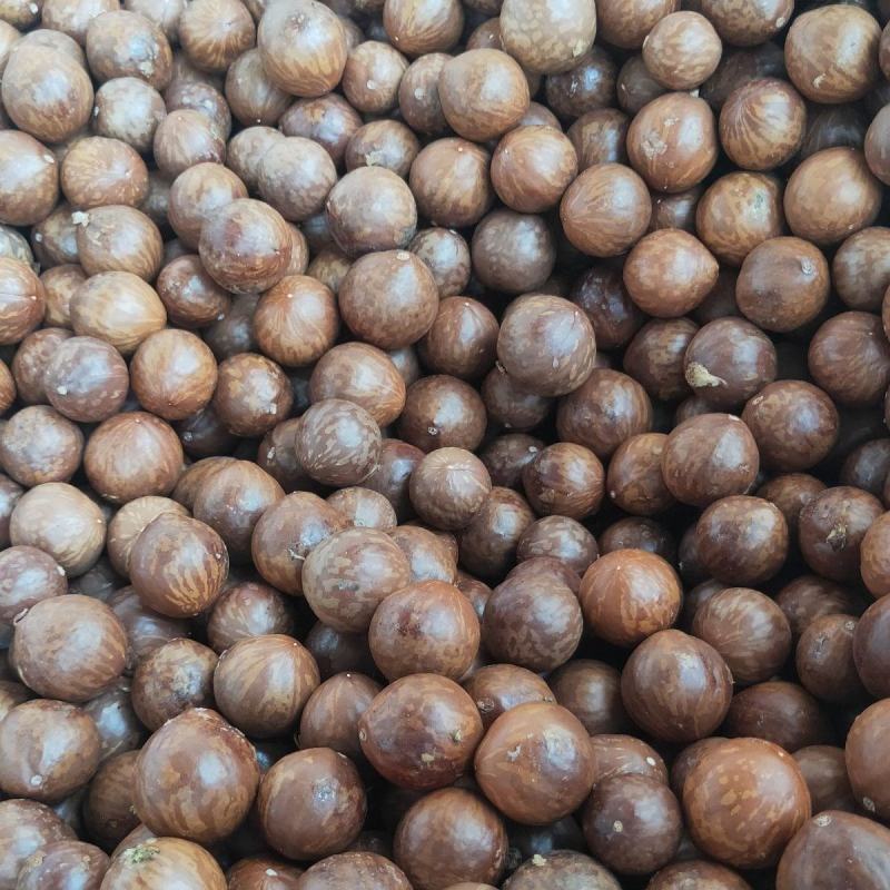 夏威夷果批发零售，可代发。
