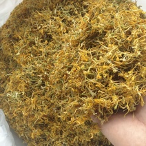 贵州金银花精品开花，货源充足，香味浓郁，欢迎新老客户进店