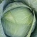 高海拔蔬菜