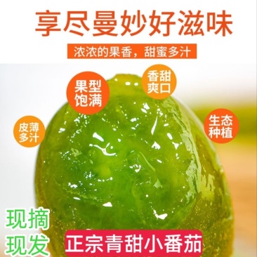 正宗青甜小番茄绿色小番茄青甜二号青皮青口西红柿蜂糖青番茄新鲜