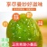正宗青甜小番茄绿色小番茄青甜二号青皮青口西红柿蜂糖青番茄新鲜