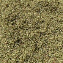 贵州金银花，精品籽花，太阳晒干，无流，货源充足，欢迎订购