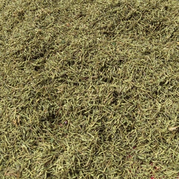 贵州金银花，精品籽花，太阳晒干，无流，货源充足，欢迎订购