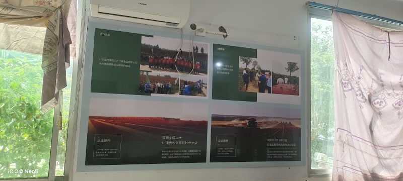 宜糯红4号糯高粱，欢迎联系咨询