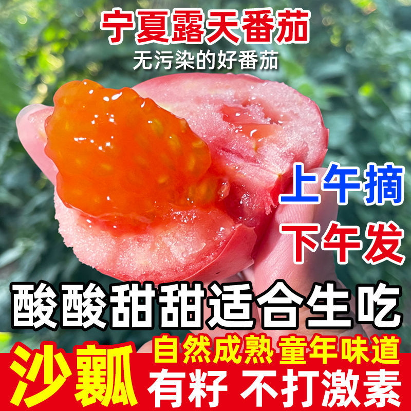 《大红西红柿》宁夏露天番茄基地直发保质保量一条龙服务