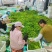 《线椒》宁夏基地直发对接商超电商团购一条龙