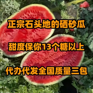 正宗宁夏石头地硒砂瓜，甜度保13+，质量三包，代办代发