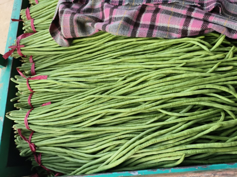 本地长豆角大量有货，产地直发，价格不高