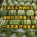 正宗宁夏石头地硒砂瓜，甜度保13+，质量三包，代办代发
